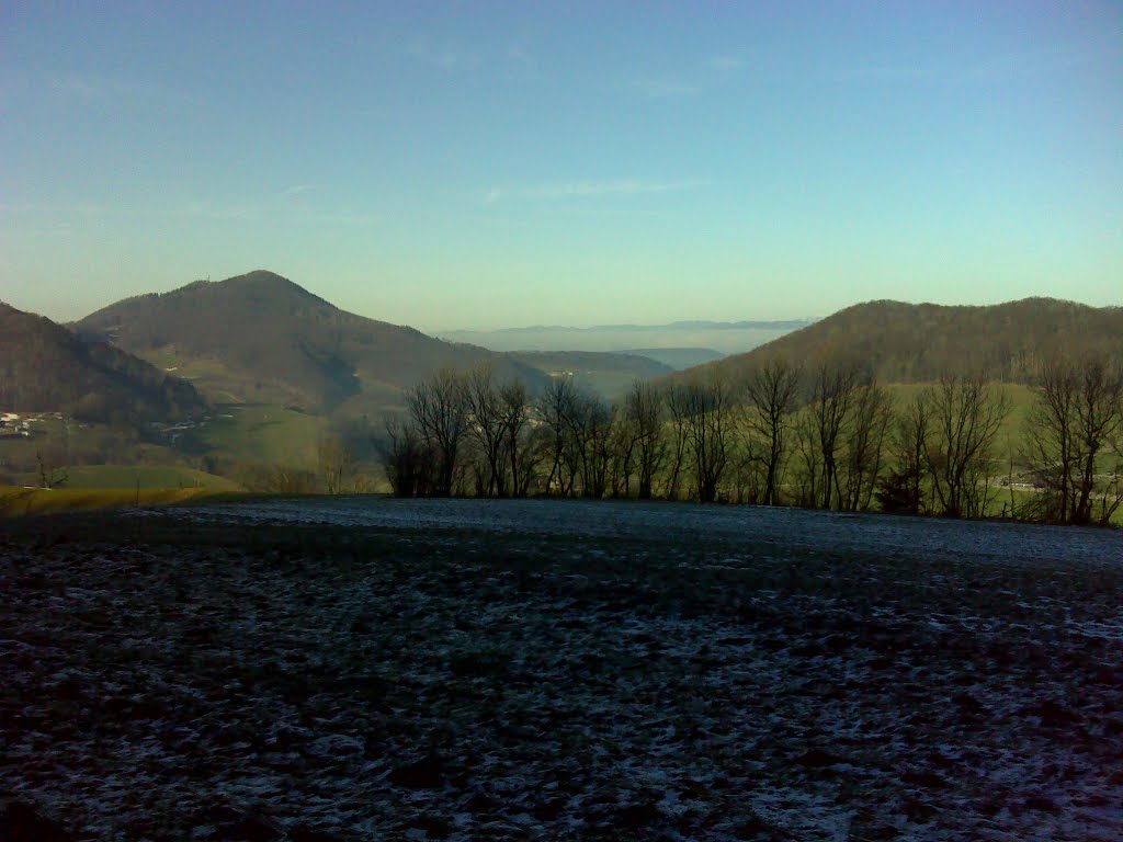 Rischele, Thalheim, Switzerland by Peter Wullschleger