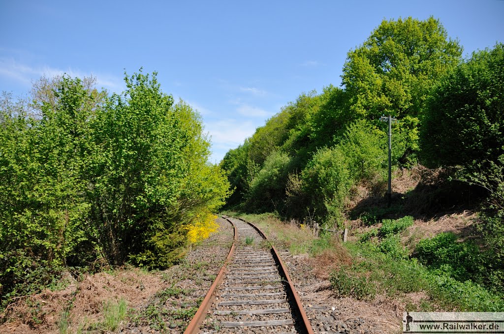 Der Bahndamm geht in eine Kurve über by Railwalker