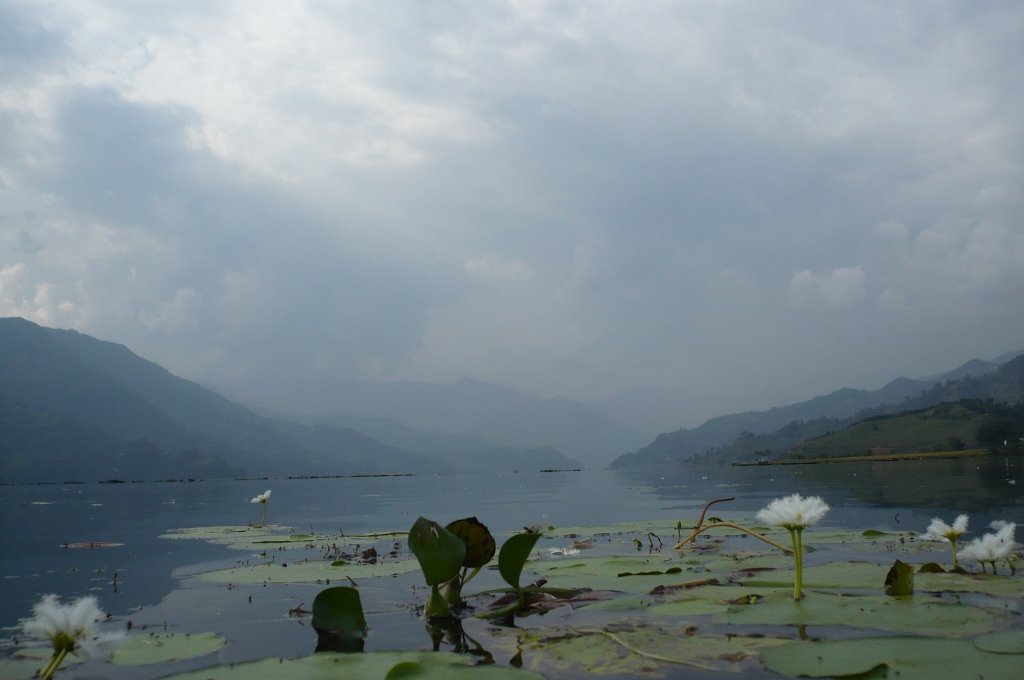 fewa lake by fritz hegner