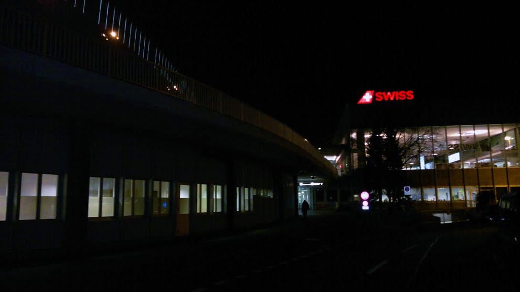 Neues Swiss Logo by gga