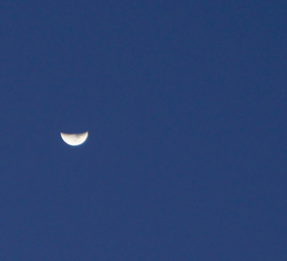 The moon - Sittwe by Paul HART