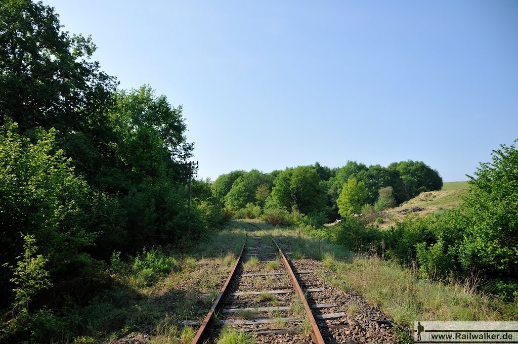 Der Bahndamm hat das Flußtal nun verlassen, links und recht stehen mehr und mehr Weideflächen by Railwalker