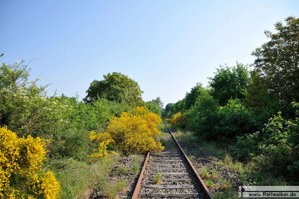 03410 Lignerolles, France by Railwalker