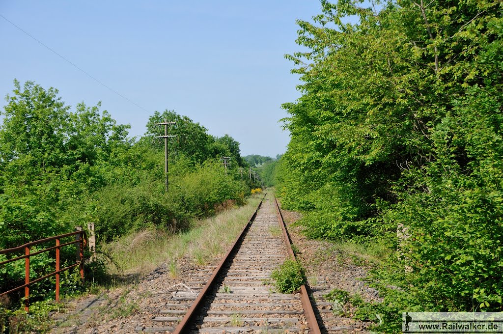 03410 Lignerolles, France by Railwalker