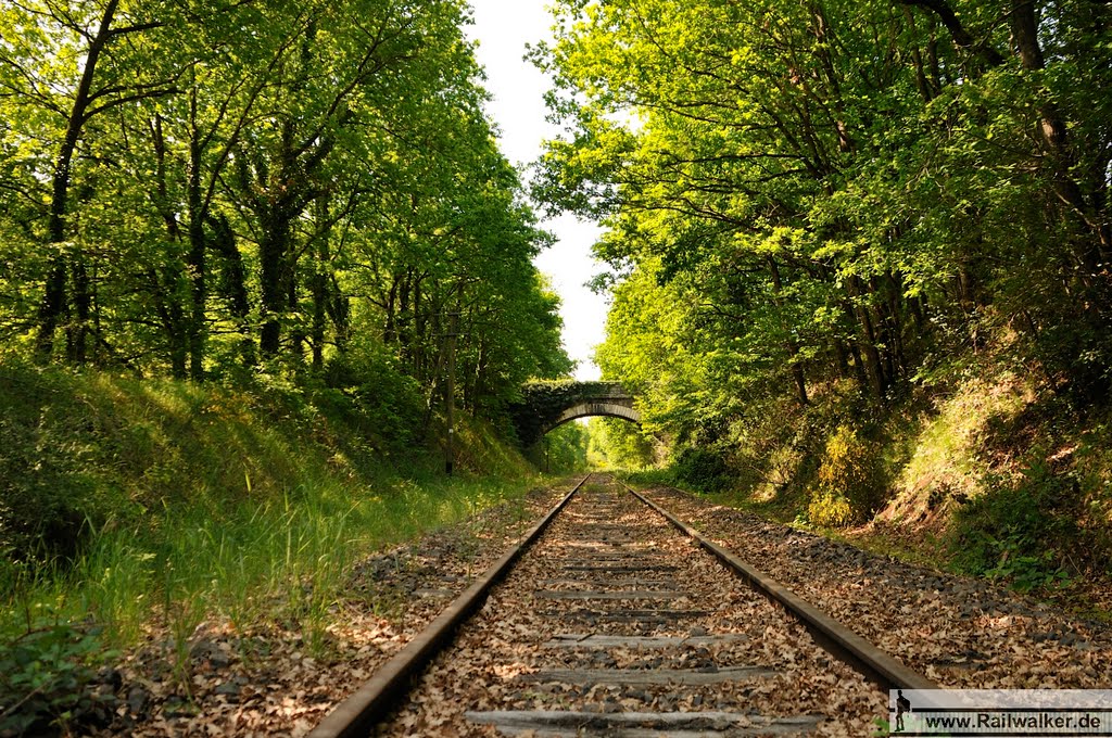 Der Bahndamm verläuft in einem Geländeeinschnitt by Railwalker