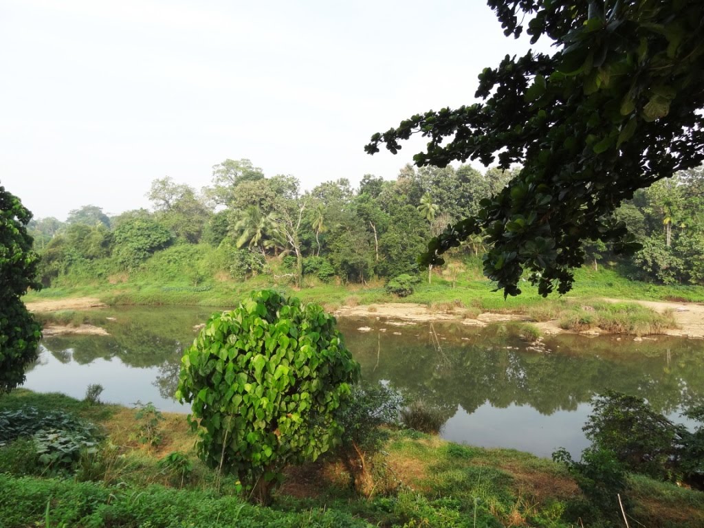 Thulhiriya, Sri Lanka by Senanayaka Bandara