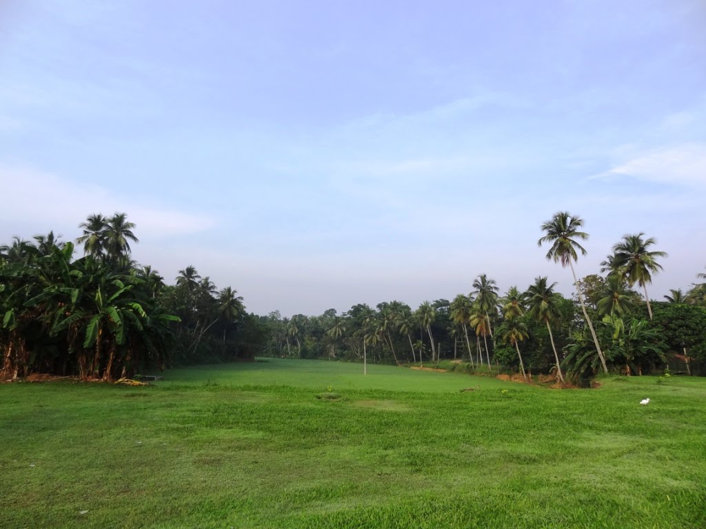 Thulhiriya, Sri Lanka by Senanayaka Bandara