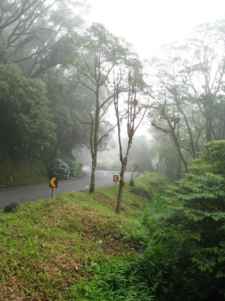 Estrada da Graciosa by Maiko Dias dos Santo…