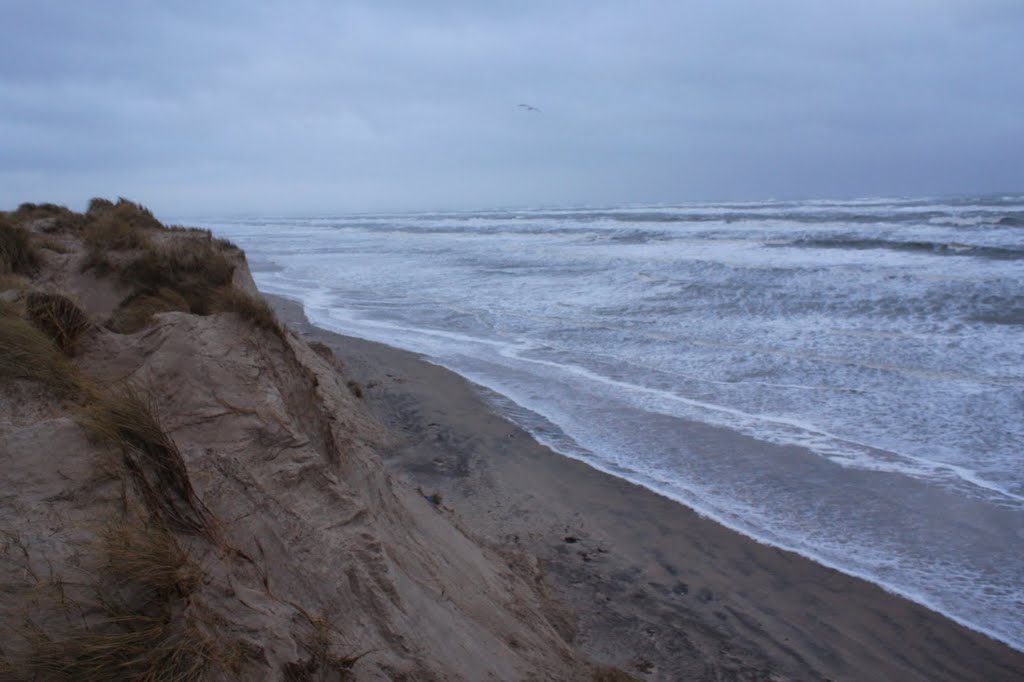 Efterårsstorm i Nordjylland by Erik Vind