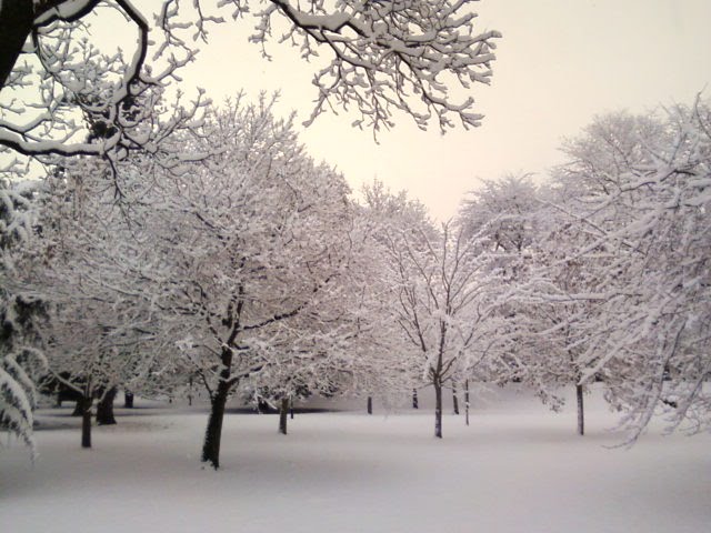 Bute park by kurt bad boy