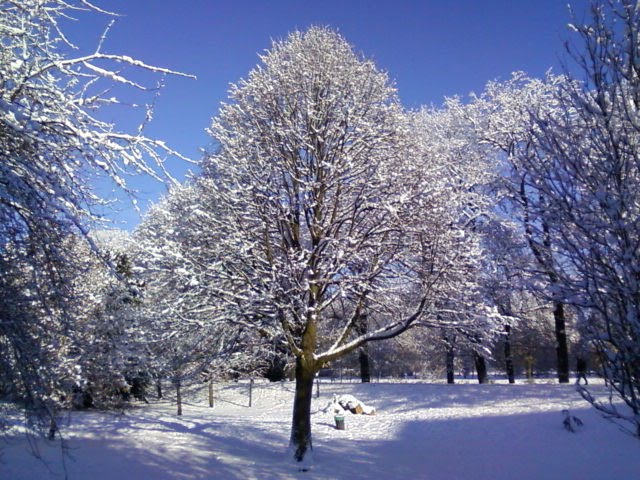 Bute park by kurt bad boy