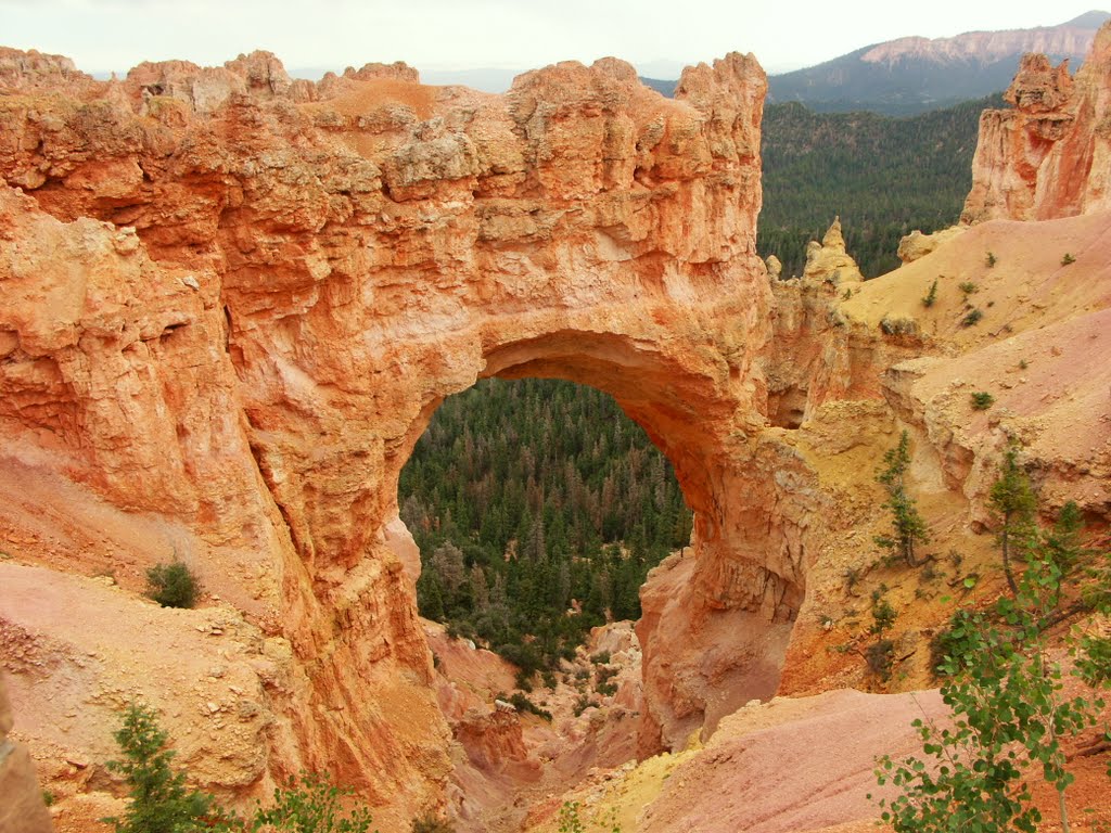 Bryce Canyon Arch, August 2005 by ikitou