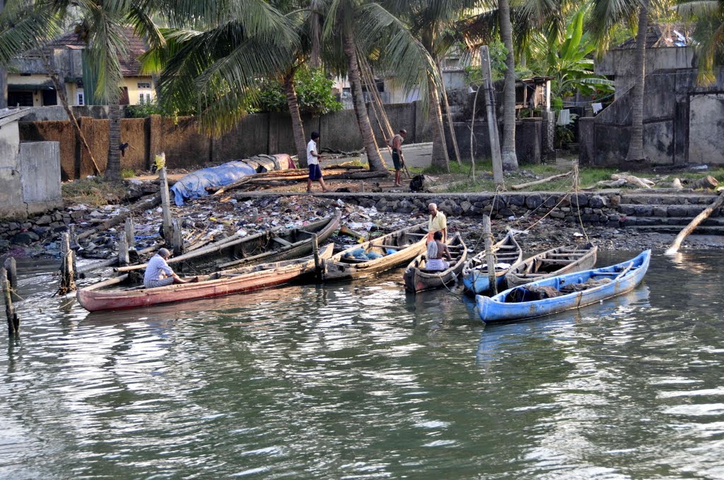 India, Kochin by A. Yaniv