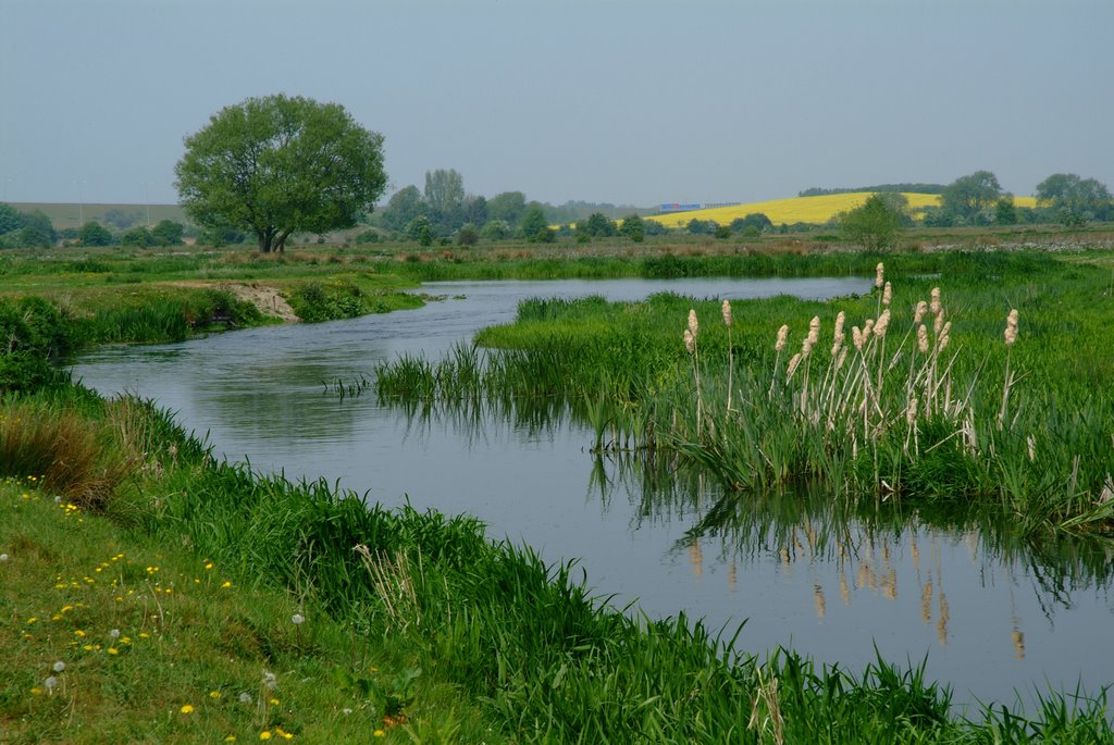 Staines Moor by StainesStix