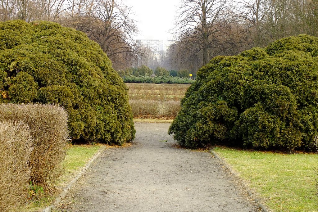 Grudzień w Parku Poniatowskiego / December in the Park Poniatowski by Gomes77