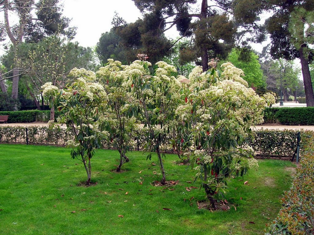 Jardines de la Chopera by Jose Peyre