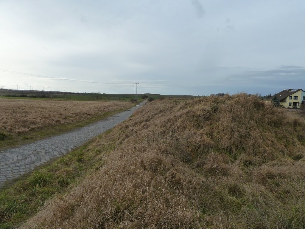 Altweg Wansleben-Langenbogen by Martin Beitz