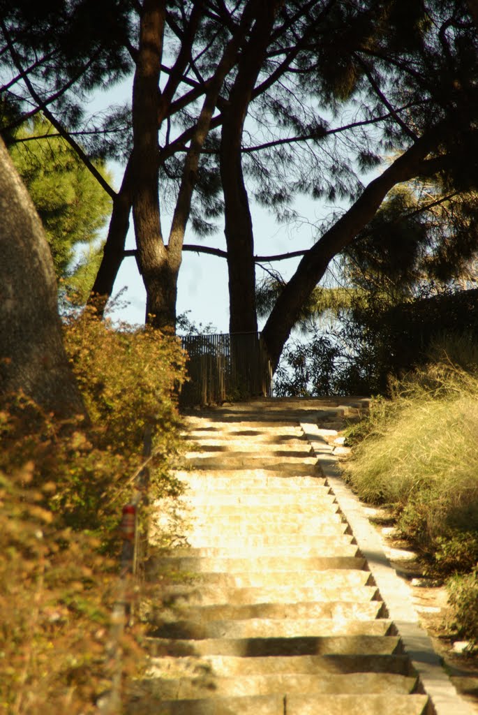 ® S.D. MADRID PARQUE DEL OESTE - PRADERA DESCENDENTE by Concepcion AMAT ORTA…