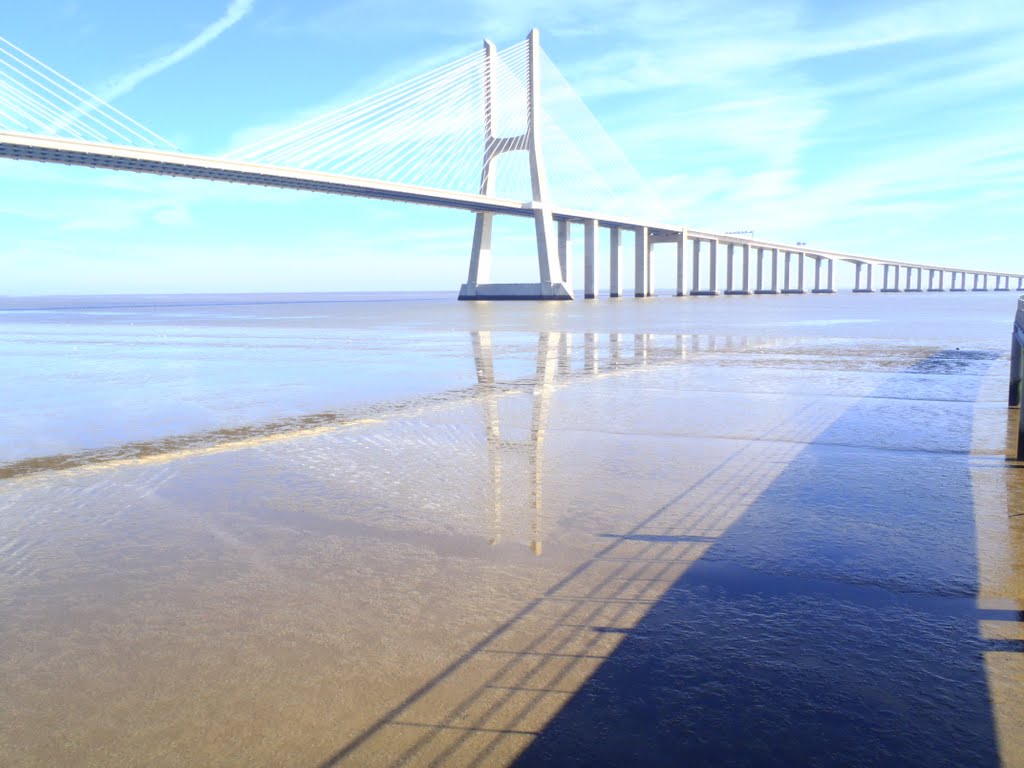 Passeios Tejo Lisboa by pedro laranjeiro