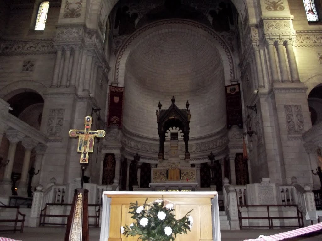 Basiliqu ST MARTIN - TOURS by Hassène ALAYA