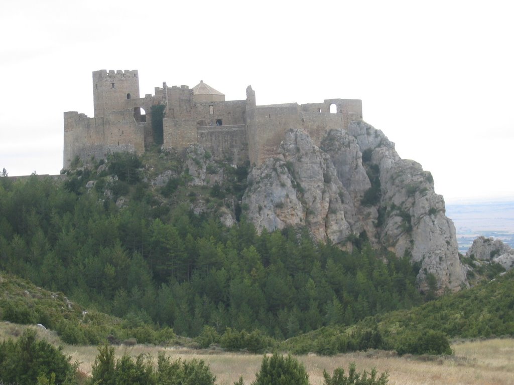 Castillo de Loarre by Manelm