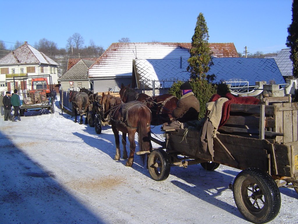 Manastireni, near the market place by Wim Rietberg