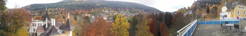 Blick auf Bad Wildbad by DLShark