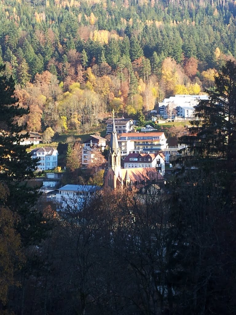 Blick auf Bad Wildbad by DLShark