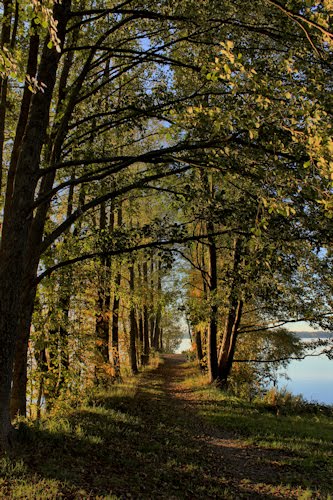 Syksyistä Vanhankylänniemeä by DeltaCap