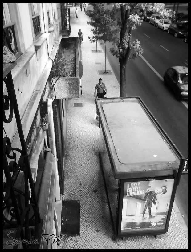 Avenida Sá da Bandeira, Coimbra by Sonia PFr