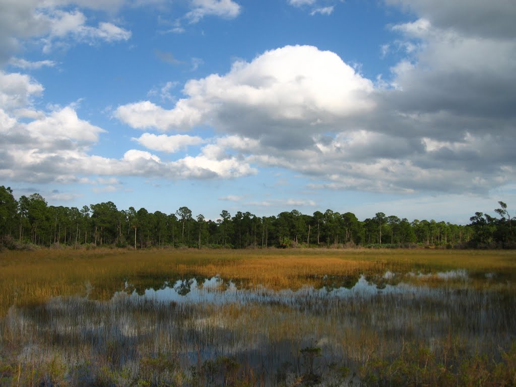 Cypress Creek Natural Area by mistermullet1952