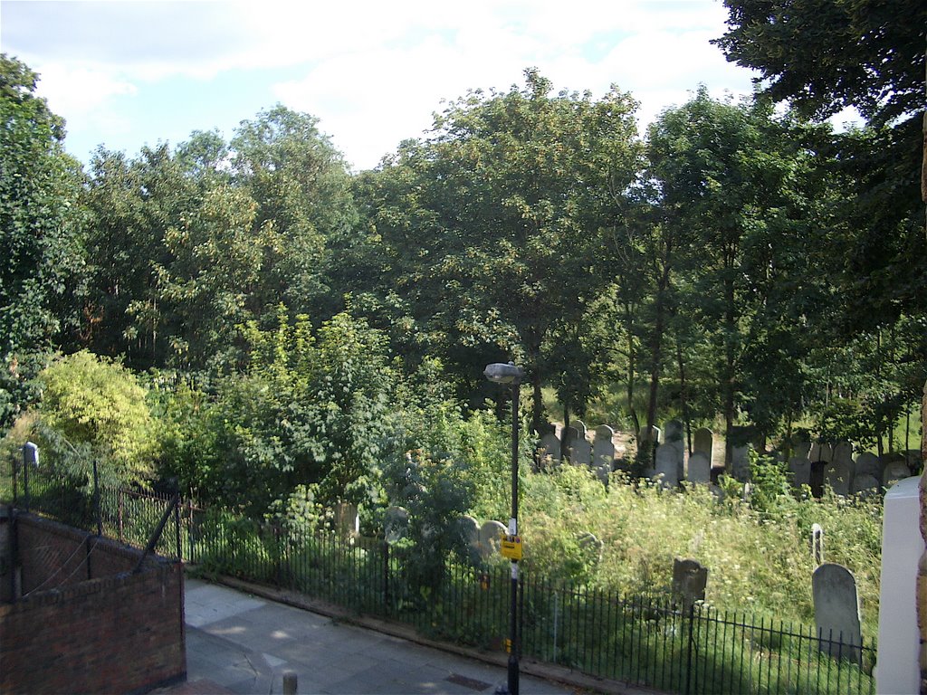 Summer in Tower Hamlets Cemetery E3 by jakeington