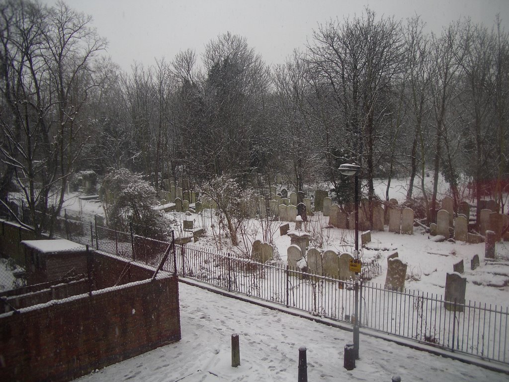 Winter in Tower Hamlets Cemetery E3 by jakeington