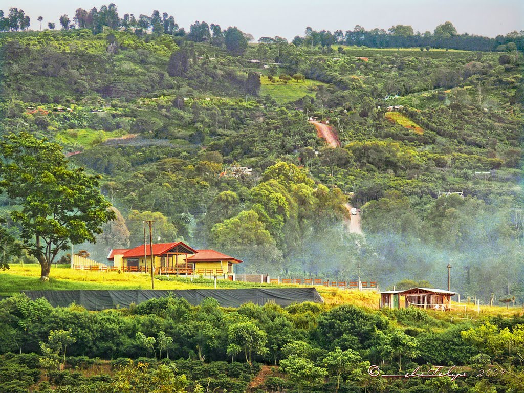 Al norte de mi casa--Naranjo, Costa Rica by Melsen Felipe