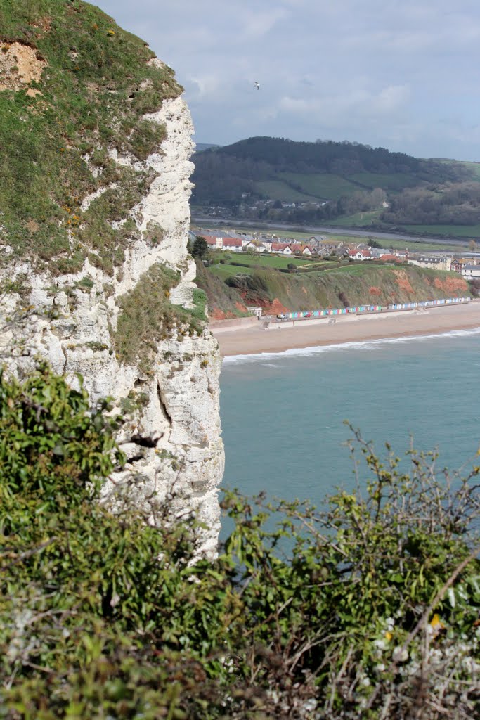 Seaton from the Coastal Trail from Beer, Devon, England by Wayne W Godbehere