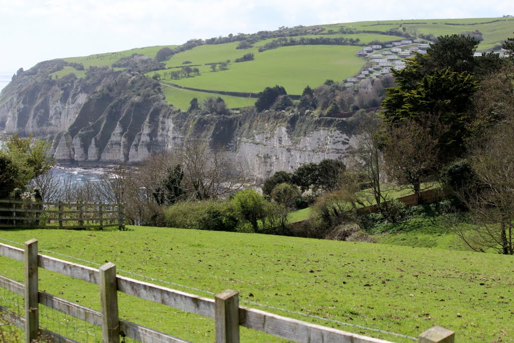 View of Cliffs West of Beer from Coastal Trail from Seaton to Beer, Devon, England by Wayne W Godbehere