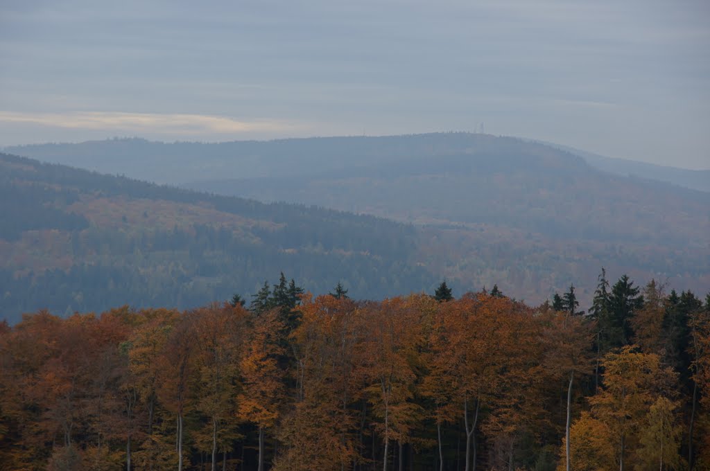 Herbst im Taunus by Jürgen Düring