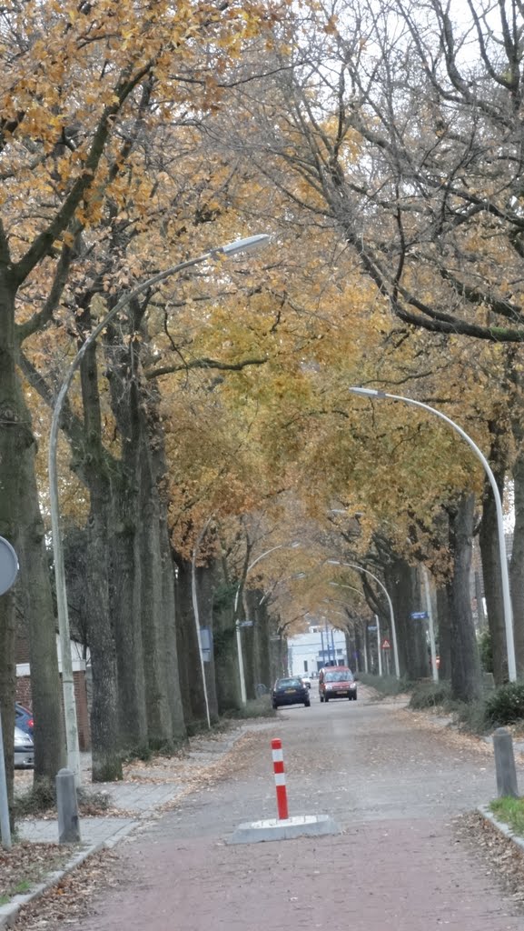 ZWANENSTRAAT, DE KAMP, NIJMEGEN. by karel wielinga