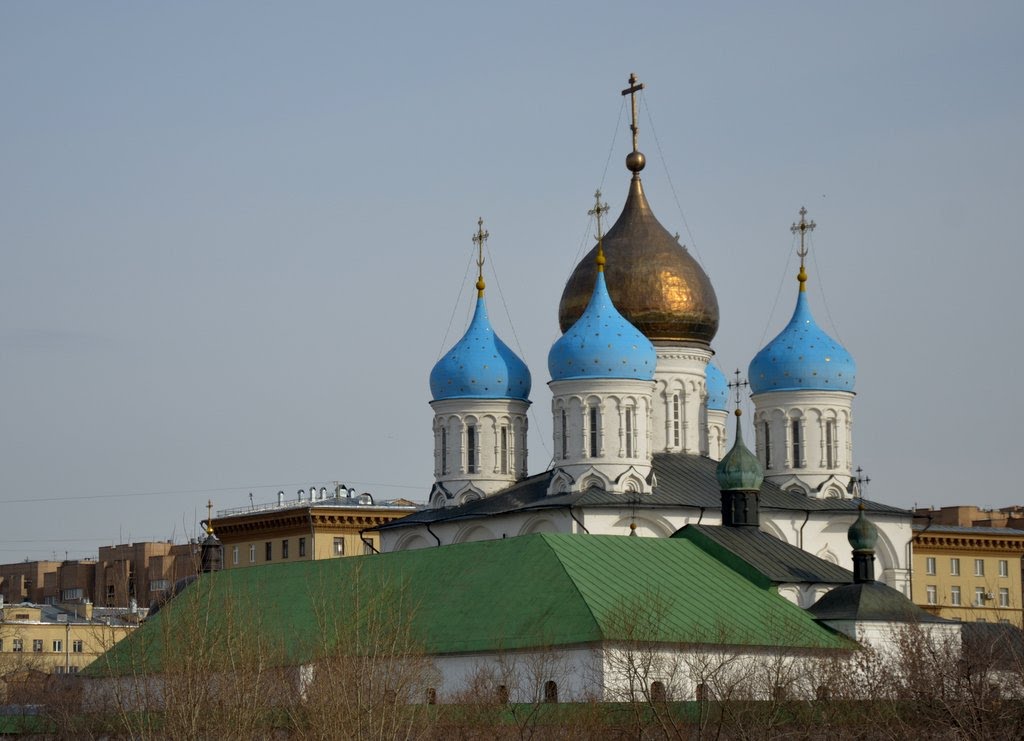 Onion domes in Novospassky Monastery by Mimmo Feminò