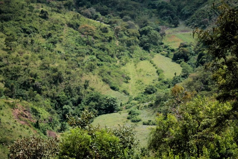 A view over a valley on the Nandi hills, Rift valley, Kenya by John Kiiru