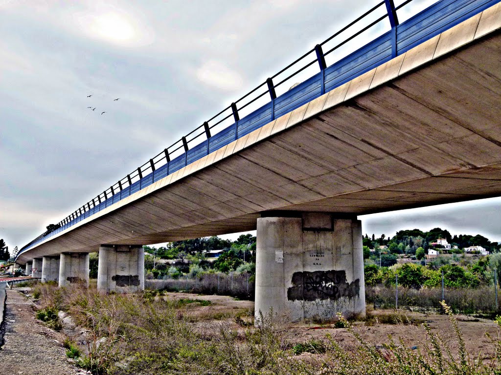 EL PUENTE DEL TRENET by vilero