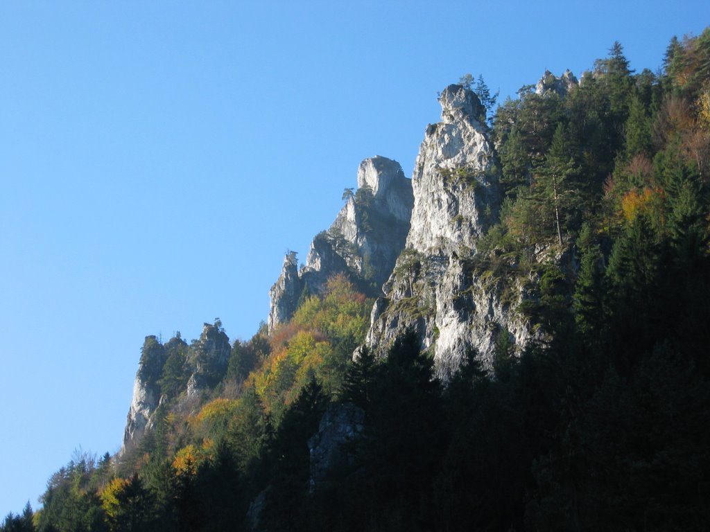 Autumn in Tiesnavy Gorge, Malá Fatra Mountains by leiferdrengen