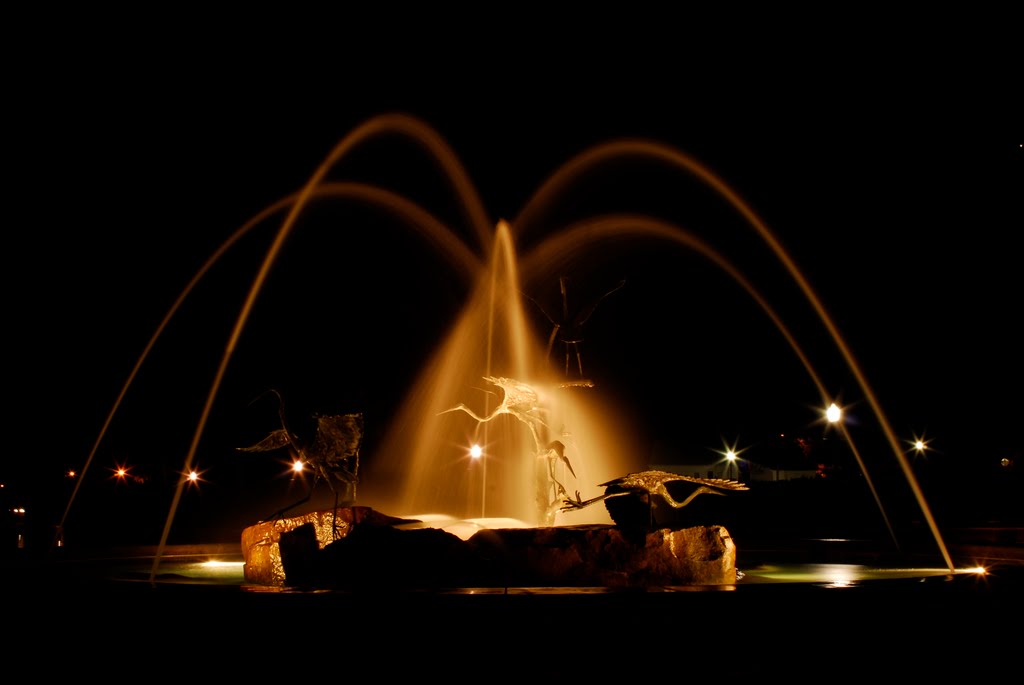 Fountain at Night by jagrolet