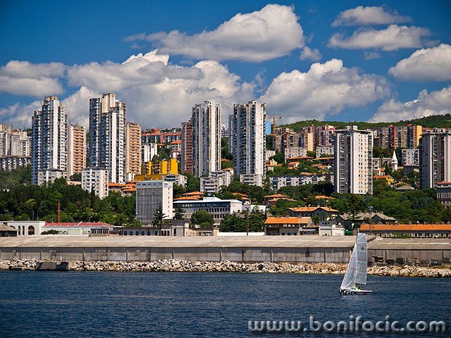 Sailing by bonifacic