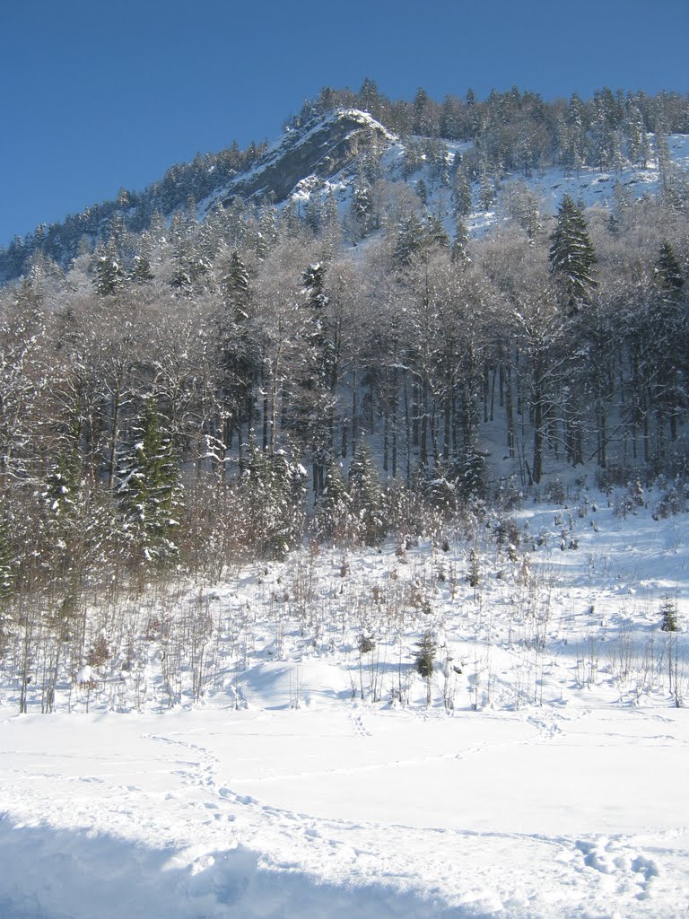 Spuren im Schnee by Christoph Rohde