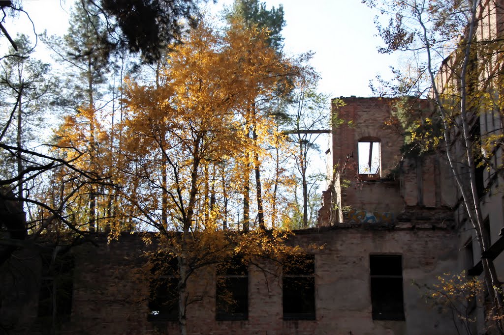 Ruins in Beelitz Heilstätten by fotokunst-kollmann.d…