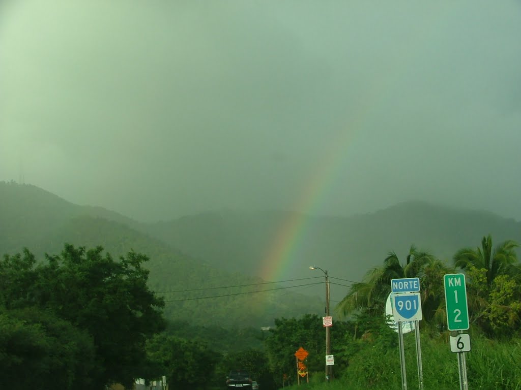 Carretera 901 Maunabo Puerto Rico by jet1011