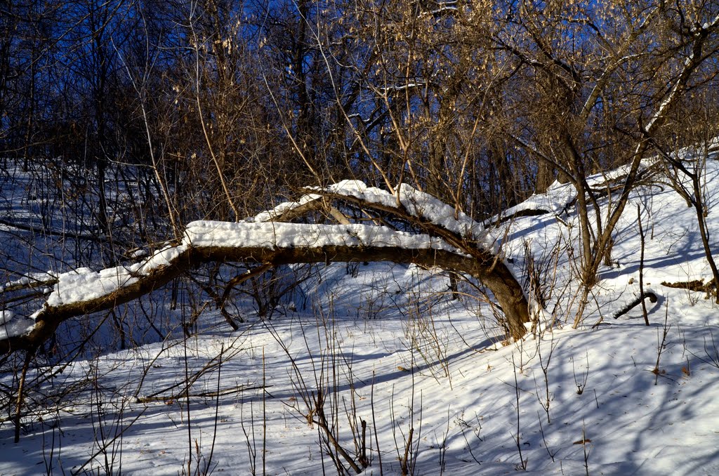 Kirovskiy rayon, Samara, Samarskaya oblast', Russia by Victor Levin