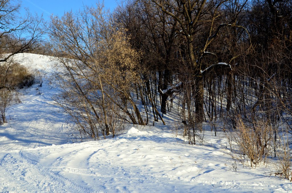 Kirovskiy rayon, Samara, Samarskaya oblast', Russia by Victor Levin