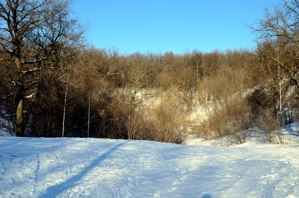 Kirovskiy rayon, Samara, Samarskaya oblast', Russia by Victor Levin